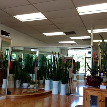 Master Paul's Tailoring - Yes, those gorgeous potted plants are real. All of them. - Sewing & Alterations Near Me - Costa Mesa, California Master Paul's Tailoring - Yes, those gorgeous potted plants are real. All of them. - Sewing & Alterations Near Me - Costa Mesa, California