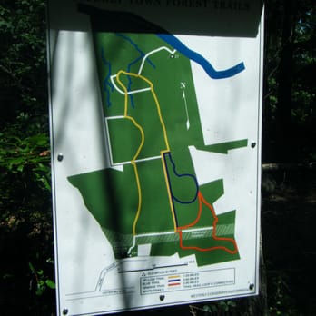 Westerly Town Forest - Accurate map - Hiking Near Me - Westerly, Rhode Island