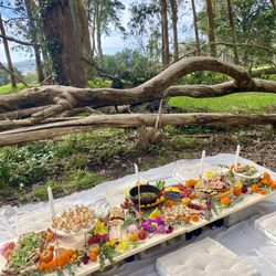 Cast Iron Kitchen Nashville - Surprise proposal picnic in the park!