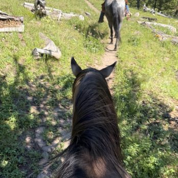 Yellowstone Roughriders - Horseback Riding Near Me Yellowstone Roughriders - Horseback Riding Near Me
