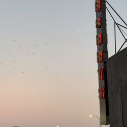 Barry's Burlingame - sunrise at barrys