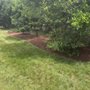 Photo of Apex Grounds & Lawn
