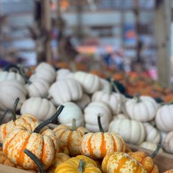 Coston Farm & Apple House - Inside the shop