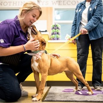 PetSuites Spring Rayford - Pet Boarding Near Me - Spring, Texas
