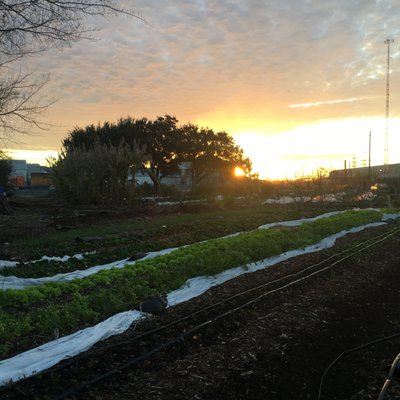 Finca Tres Robles by null