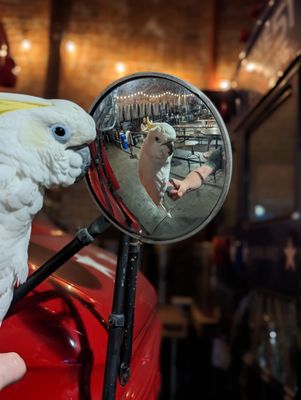 Line 51 Brewing Company at the Terminal by null