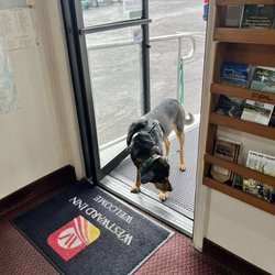 Westward Inn - Dogs are not allowed in the office, so tie them up before you go in