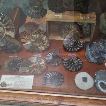 Paxton Gate - Jewelry Near Me - Portland, Oregon