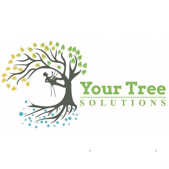 Your Tree Solutions - Tree Services Near Me