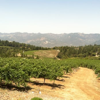 Paloma Vineyard - Merlot vineyard - Wineries Near Me - St. Helena, California Paloma Vineyard - Merlot vineyard - Wineries Near Me - St. Helena, California