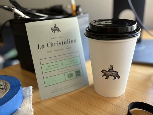 The Boy & The Bear - Gardena by null