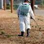 Photo of Eco Advantage Termite and Pest Solutions