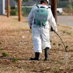 Eco Advantage Termite and Pest Solutions