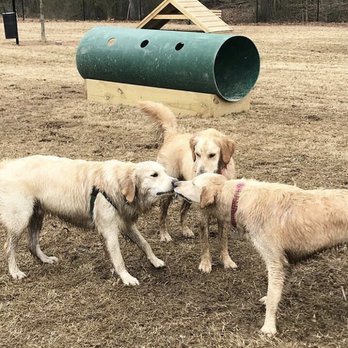 Pelham City Park - Pack - Dog Parks Near Me - Pelham, Alabama