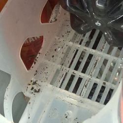 Mold where all the sodas are