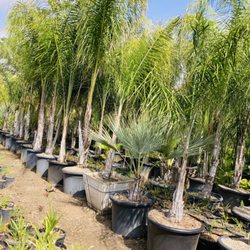 Jurupa Nursery