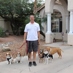Nate Dog Training - Walk time