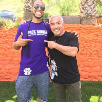 Pack Runner - Cesar Millan - Dog Walkers Near Me