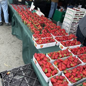 Rodriguez Brothers Ranch - Berries at the Clement Street Farmers Market San Francisco - Farmers Market Near Me - Watsonville, California