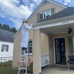 Spotlight Pest Control