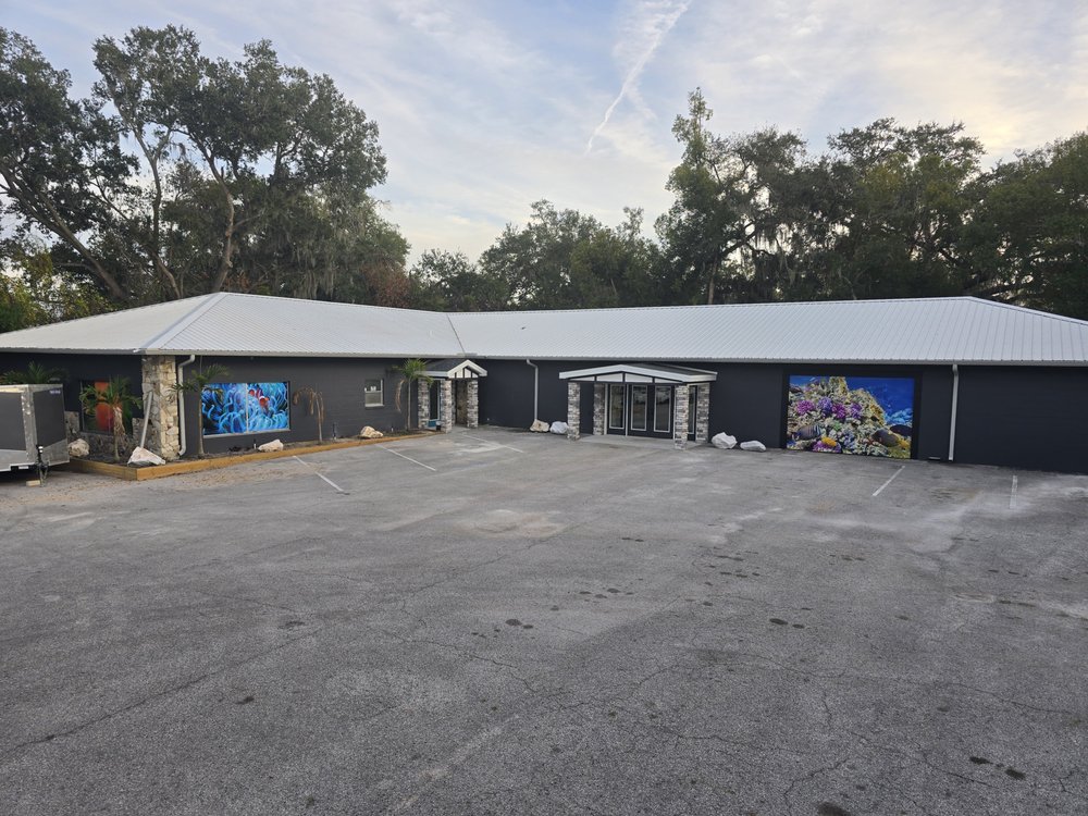 The Oasis Fish and Coral Boutique Image