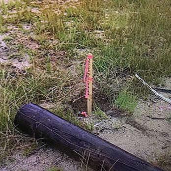 Baxley, Pratt And Wells P.A - This is how real surveys are done  with pink ribbons and wood stakes not yellow and made up as you go along and passed off like a survey - Personal Injury Law Near Me - Lugoff, South Carolina