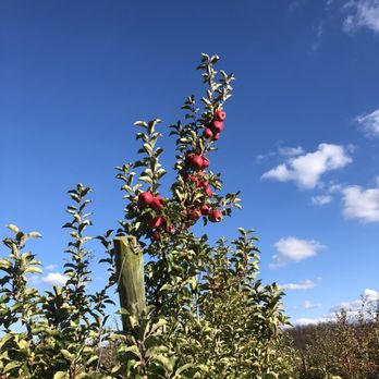 Melick Orchards - Farmers Market Near Me - Califon, New Jersey