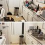 Photo of star cleaning services