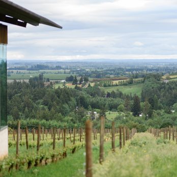 Furioso Vineyards - Wine Tasting Room Near Me - Dundee, Oregon