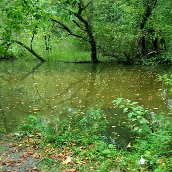 Jackson Park - Parks Near Me - Hendersonville, North Carolina Jackson Park - Parks Near Me - Hendersonville, North Carolina