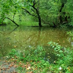Jackson Park