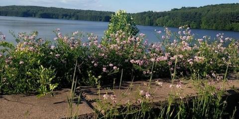 South Central Connecticut Regional Water Authority - social services organization in New Haven, CT