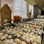 Photo of Down Home Foods