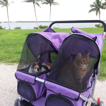 Wishbone Pet Services - Dog Walkers Near Me - Cape Coral, Florida Wishbone Pet Services - Dog Walkers Near Me - Cape Coral, Florida