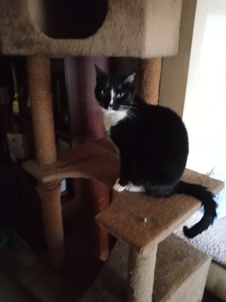 Lois Staffing Agency - home care agency in Bowie, MD