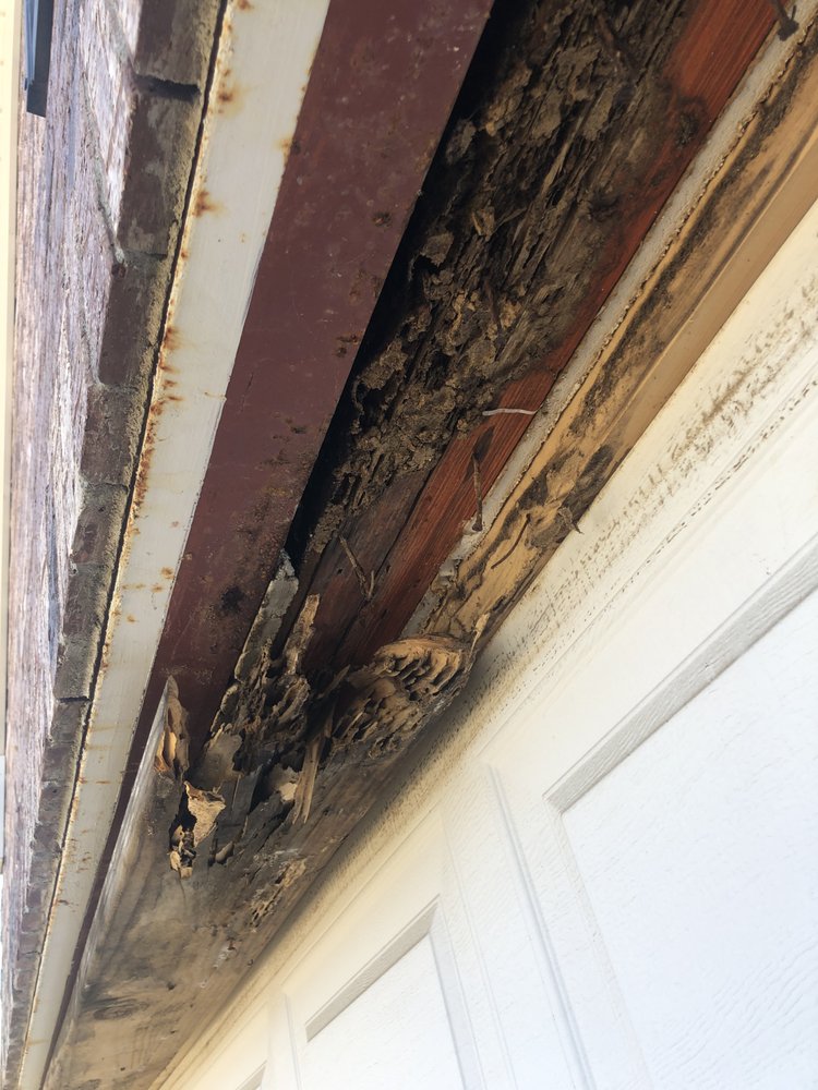 RID ALL TERMITE & PEST SOLUTIONS 21 Photos 6229 Hwy 305 N, Olive