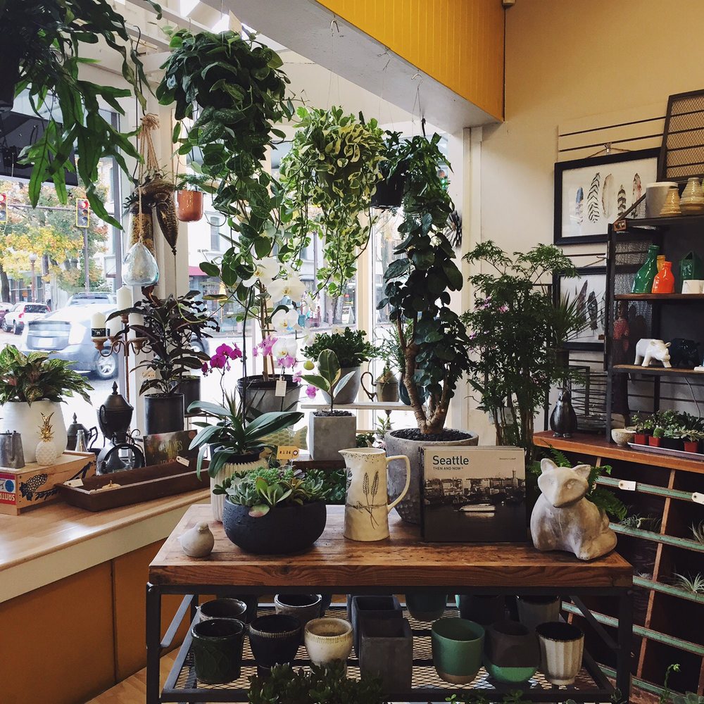 Columbia City Bouquet - Succulents galore! - Cards & Stationery Near Me - Seattle, Washington Columbia City Bouquet - Succulents galore! - Cards & Stationery Near Me - Seattle, Washington