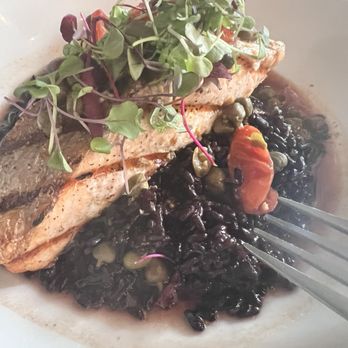 Doppio Zero Campbell - Salmon and Forbidden Rice - Italian Near Me - Campbell, California