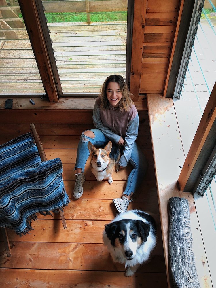 HEART OF CHELSEA VETERINARY GROUP PARK SLOPE 15 Photos & 89 Reviews 207 6th Ave, Brooklyn