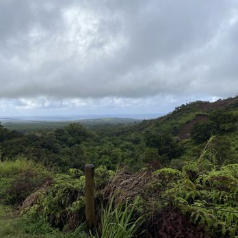 Shaka Zipline - View from one of the zip lines - Ziplining Near Me - Koloa, Hawaii