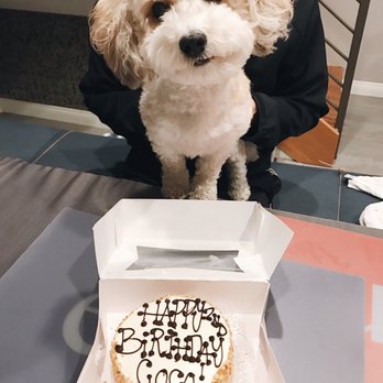 The Dog Bakery - Peanut butter round cake with personalized writing - Pet Stores Near Me - Pasadena, California The Dog Bakery - Peanut butter round cake with personalized writing - Pet Stores Near Me - Pasadena, California