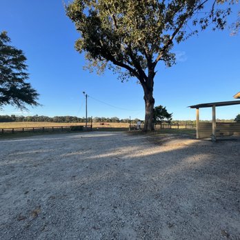 Carriage & Horses - Parking lot - New American Near Me - Pine Mountain, Georgia