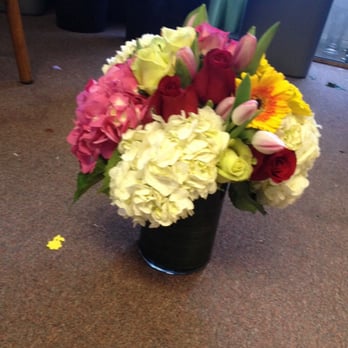 Altamonte Fresh Flowers - Amazing - Florists Near Me - Altamonte Spring, Florida Altamonte Fresh Flowers - Amazing - Florists Near Me - Altamonte Spring, Florida