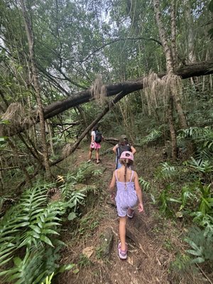 Hauʻula Loop Trail by null