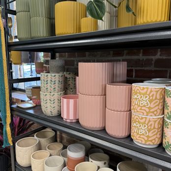 Fancy Plants - Cute planters - Nurseries & Gardening Near Me - Wylie, Texas