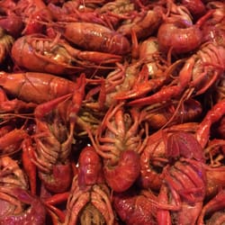 Shenanigans - Crawfish!
