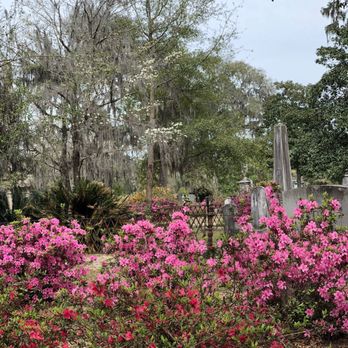 Bonaventure Cemetery - Funeral Services & Cemeteries Near Me - Savannah, Georgia Bonaventure Cemetery - Funeral Services & Cemeteries Near Me - Savannah, Georgia