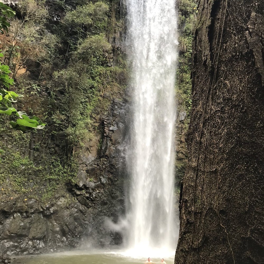 Kayak Wailua Tours - Kayak Wailua Secret Falls - Tours Near Me - Kapaa, Hawaii