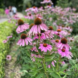 City Botanic Gardens