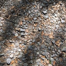 Biltmore RV Park - Gravel. These were sharp edged prices. Hard to walk on.